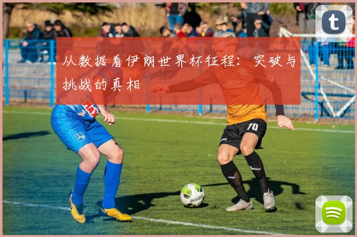 从数据看伊朗世界杯征程：突破与挑战的真相