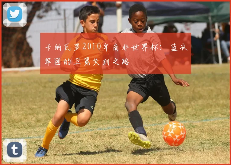 卡纳瓦罗2010年南非世界杯：蓝衣军团的卫冕失利之路