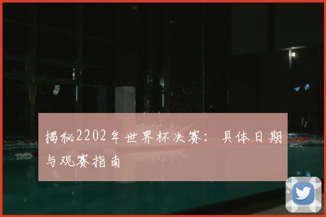 揭秘2202年世界杯决赛：具体日期与观赛指南