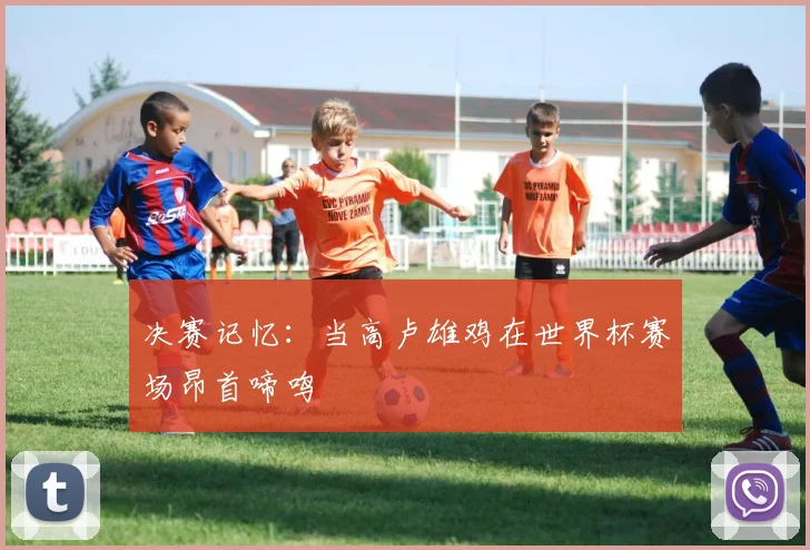 决赛记忆：当高卢雄鸡在世界杯赛场昂首啼鸣