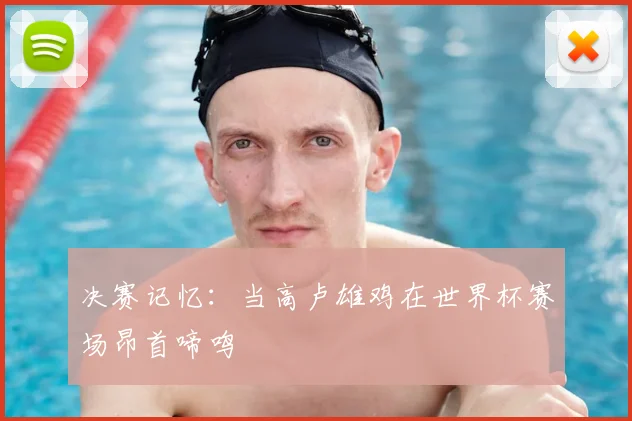 决赛记忆：当高卢雄鸡在世界杯赛场昂首啼鸣