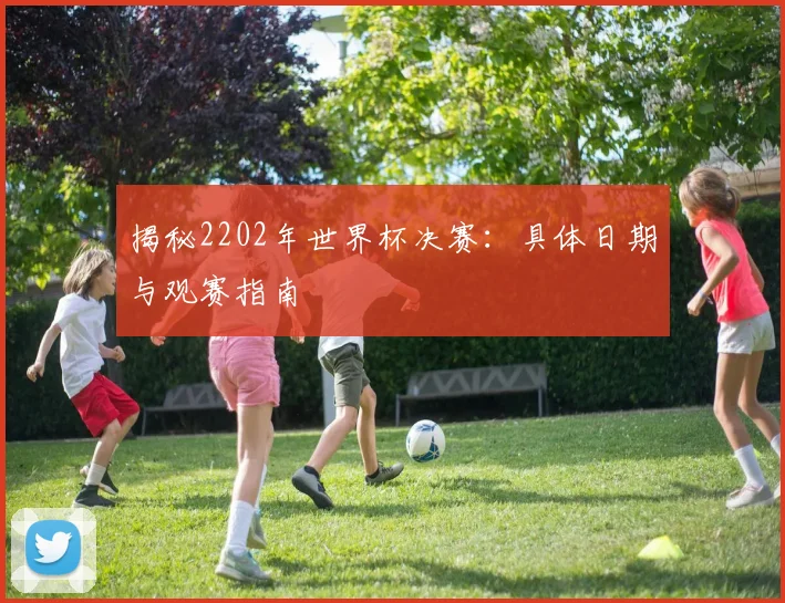 揭秘2202年世界杯决赛：具体日期与观赛指南